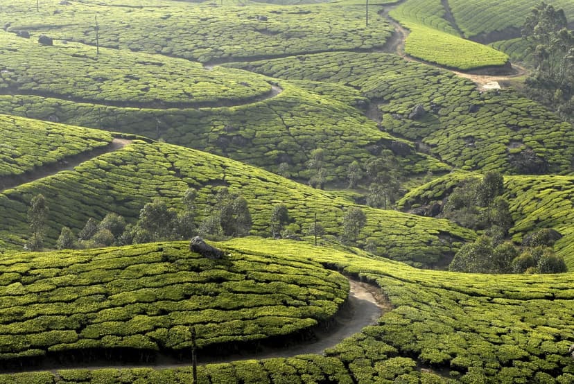 kerala Tour Highlight 5