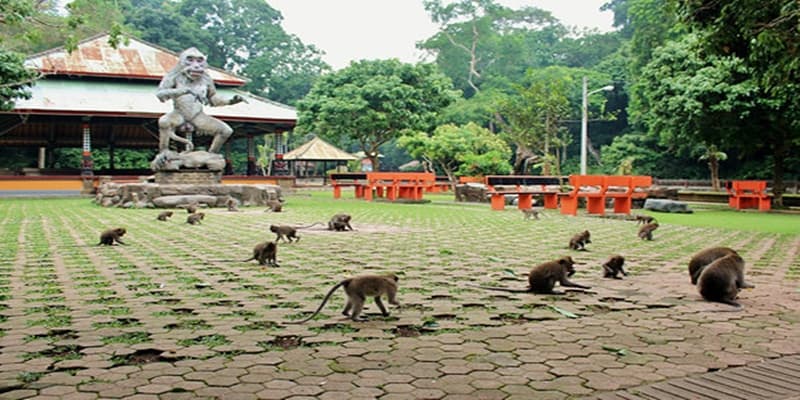 bali Tour Highlight 3