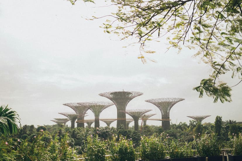 singapore Tour Highlight 2