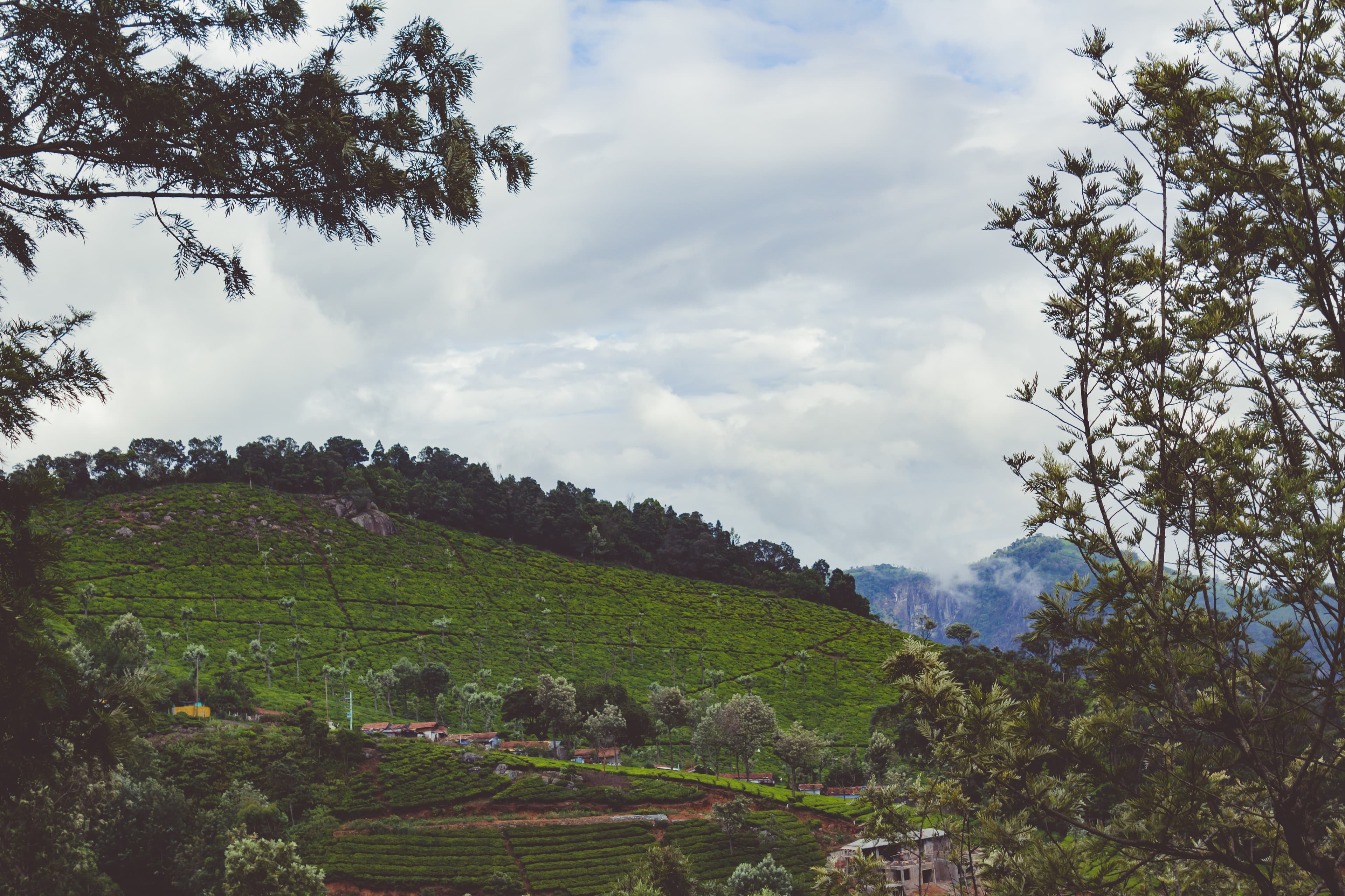 Itinerary photo 3