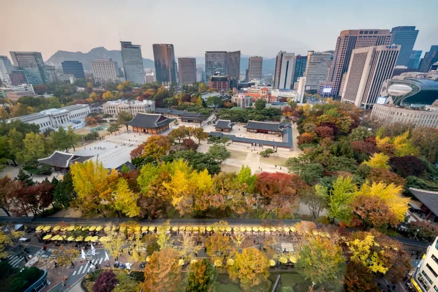 6-Day Korea Winter Explorer: Seoul, Suwon Fortress & Nami Island Private Tour