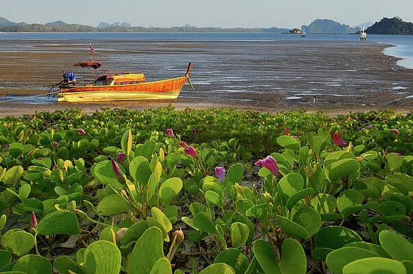 Andaman Valentine Special: 6-Day Romantic Getaway to Havelock & Neil