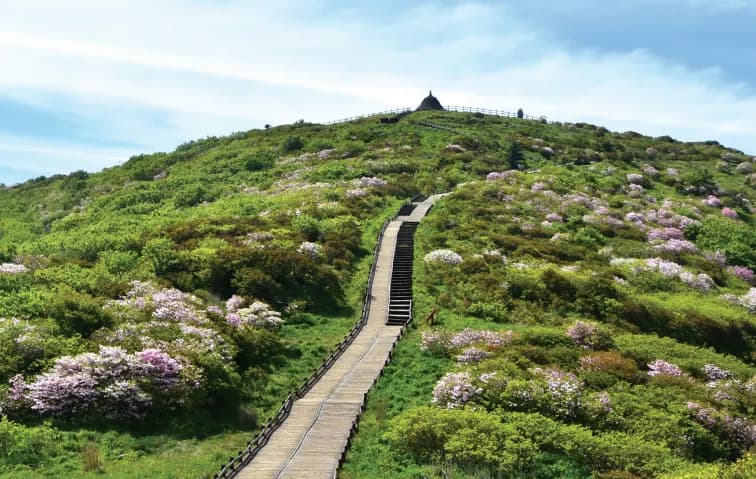 7-Day Majestic South Korea Private Sightseeing Tour: Jeju, Nami Island, Mt. Seorak & Seoul