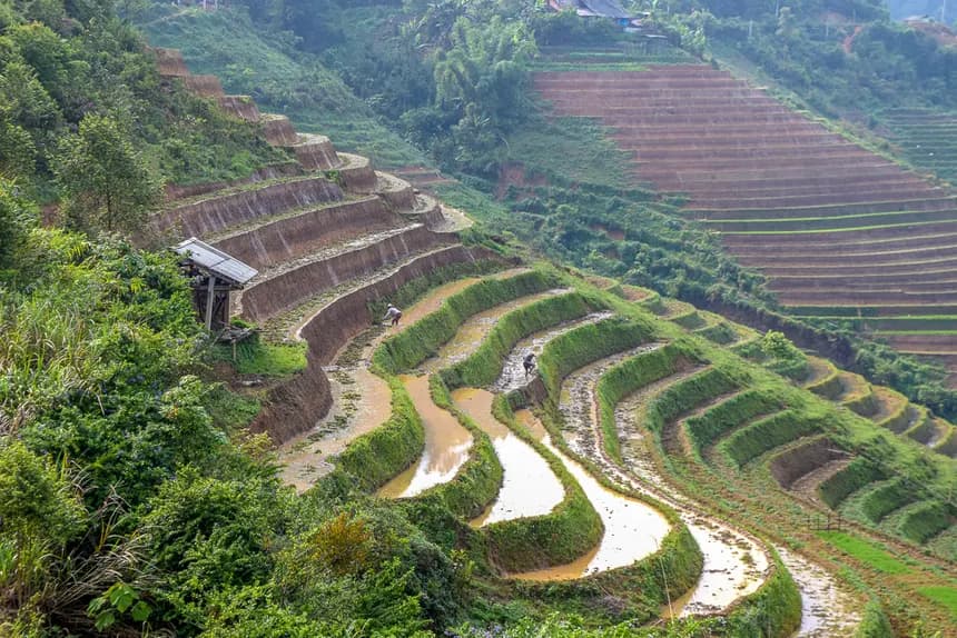 Vietnam Tour 2026 | Best of Hanoi, Ba Na Hills and Phu Quoc
