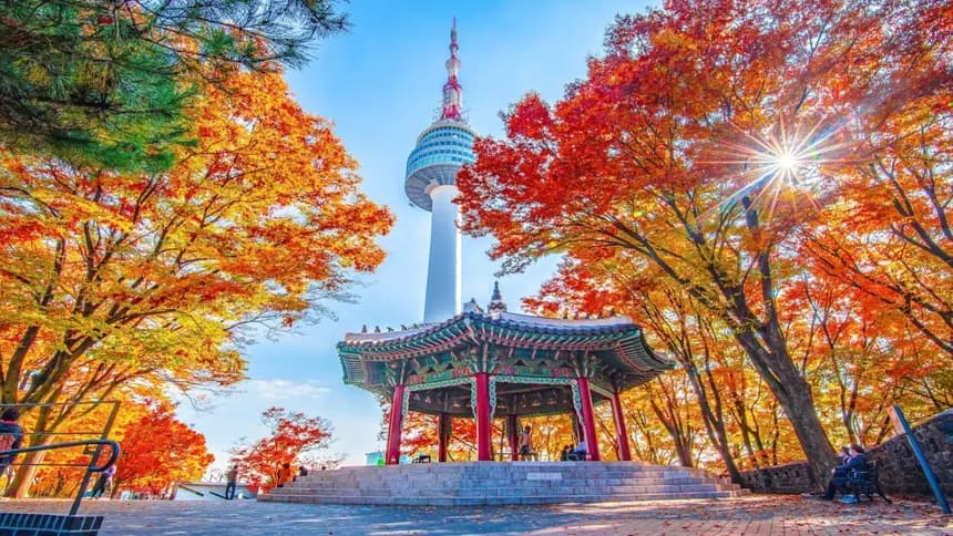5-Day Seoul Winter Wonderland Tour: Nami Island & Private City Sightseeing