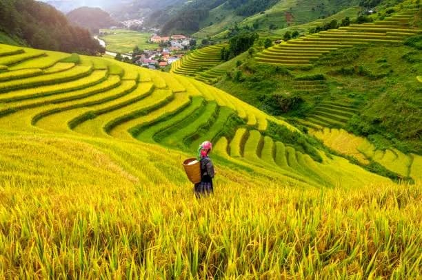 Vietnam 9-Day tour pacakge| Ha Long Bay, Ba Na Hills and Phu Quoc