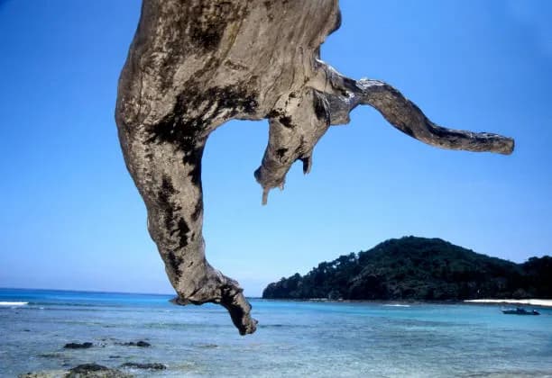 6-Day Unforgettable Andaman: Historic Port Blair, Radhanagar Beach & Neil Island Wonders