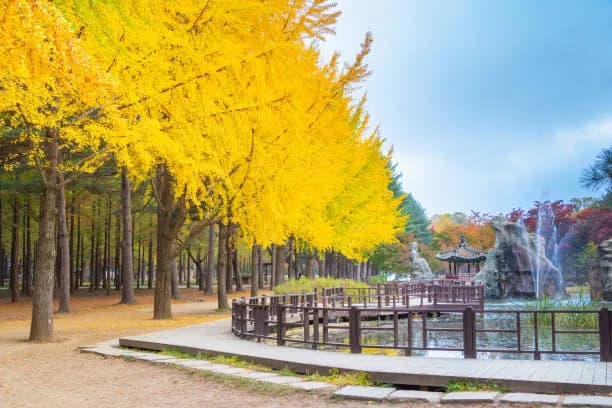 South Korea Ski & Scenic Sightseeing Tour: Nami Island, Mt. Seorak, Vivaldi Resort & Seoul Shopping
