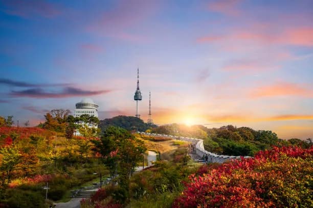 7-Day Korea Winter Grand Tour: Seoul, Busan Coastal Gems & Nami Island