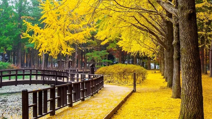 8-Day Korea Winter Ultimate Tour: Seoul, Suwon, Busan & Nami Island - korea tour package from thane featuring Korea