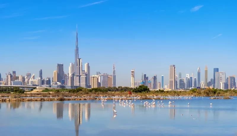 6-Day Ultimate UAE: Dubai City Icons, Premium Desert Safari & Yas Island Thrills