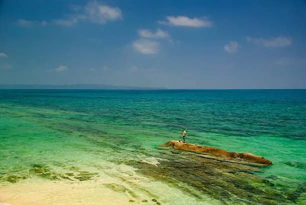 Andaman Honeymoon Package 2026 | 6-Day Valentine Special Cruise Tour - andaman tour package from mumbai featuring India