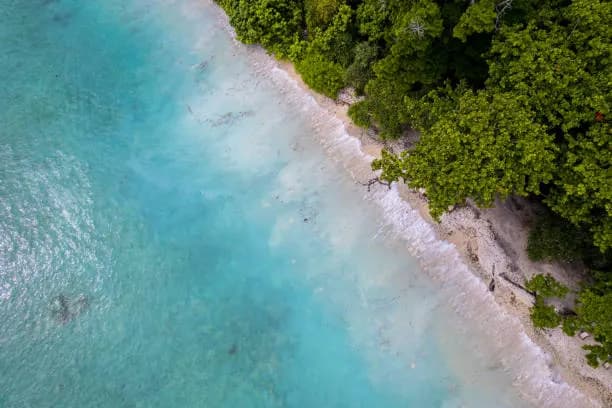 Andaman Package| 6-Day Port Blair and Havelock Beach Trip