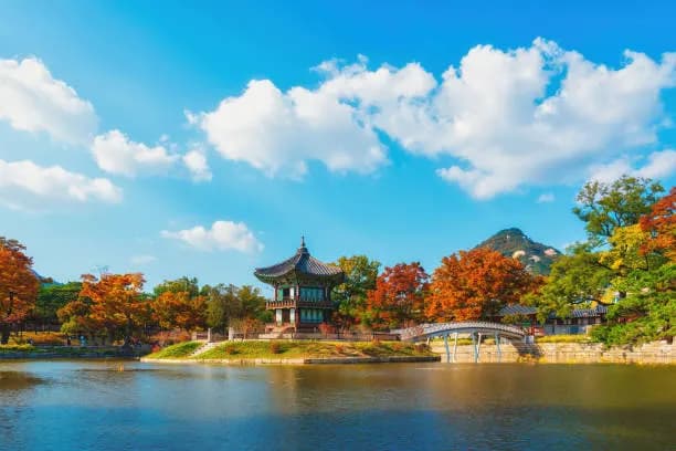 9-Day Ultimate Korea Winter Tour: Seoul, Busan & Jeju Island Discovery