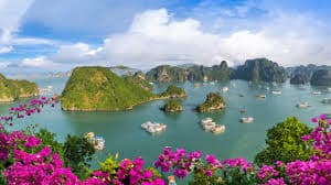 Exclusive Vietnam Couple Package | Complimentary Candlelight Dinner