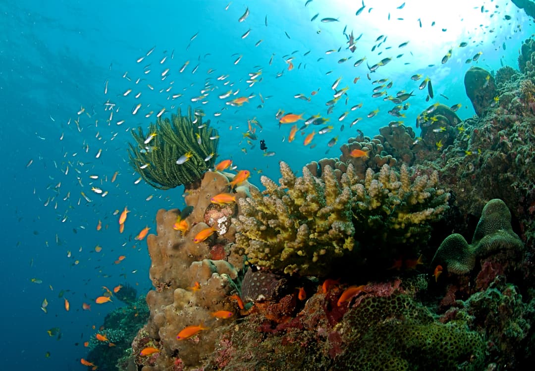 Andaman Travel Guide 2026 | Best Adventure and Serenity Tips
