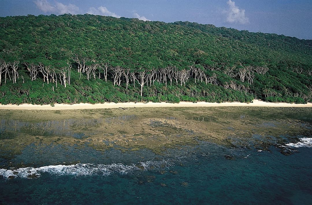 Andaman Travel Guide 2026 | Best Adventure and Serenity Tips