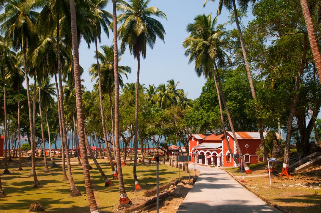 Andaman Discovery | Havelock and Neil Island Guide 2026