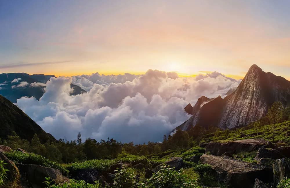 Kerala Group Tour Package 2026 | 7-Day Kerala trip