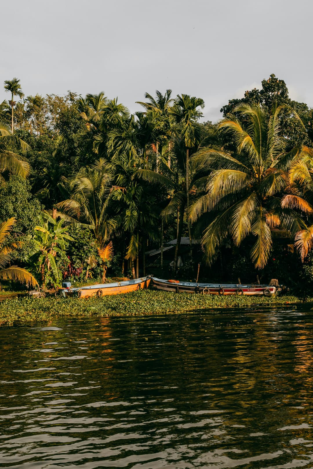 Kerala Group Tour Package 2026 | 7-Day Kerala trip