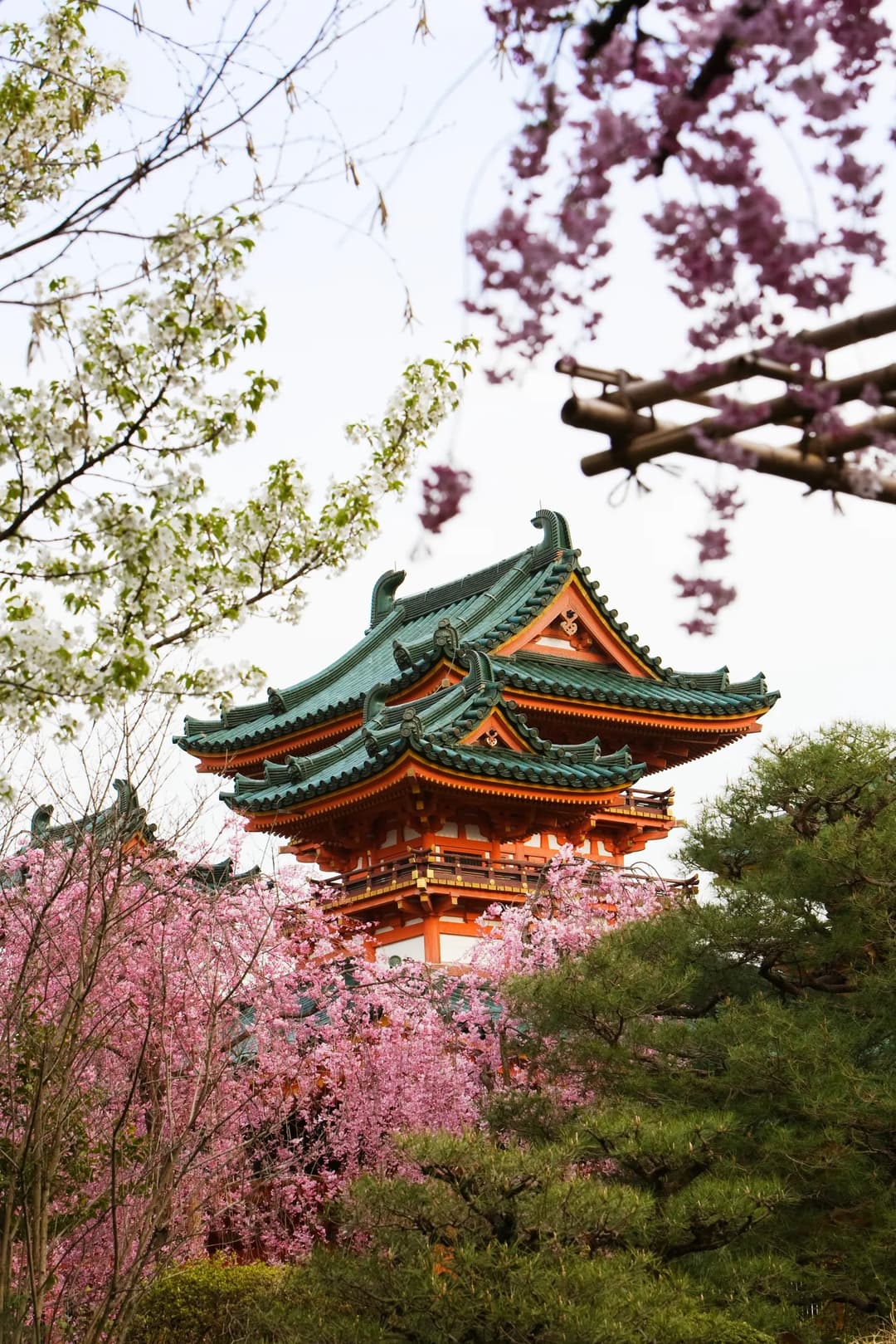 Japan Autumn Tour 2026 | 8-Day Luxury Foliage And Culture