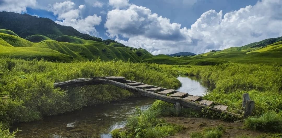Hornbill Festival Tour 2026 | 7-Day Nagaland And Assam Trip