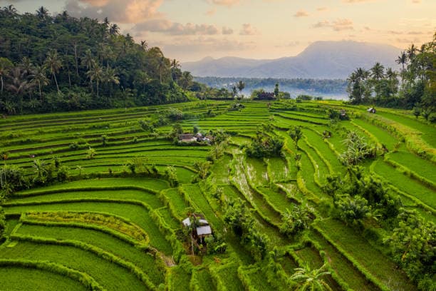 5 Nights/6 Days Luxury Bali Adventure: Kuta, Ubud & Ungasan