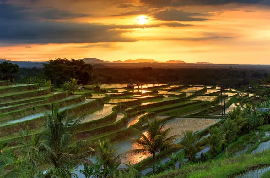7-Day Bali Ultimate Explorer: Kuta, Ubud & Nusa Penida Luxury Trip