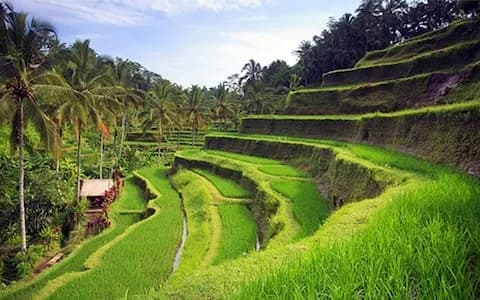8-Day Bali Upscale Escape: Kuta, Ungasan, Water Sports & Trans Studio (Ex-Ahmedabad)