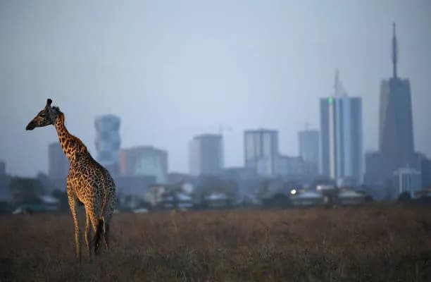 5-Day Kenya Safari: Naivasha, Maasai Mara & Giraffe Centre (Fixed Departure)