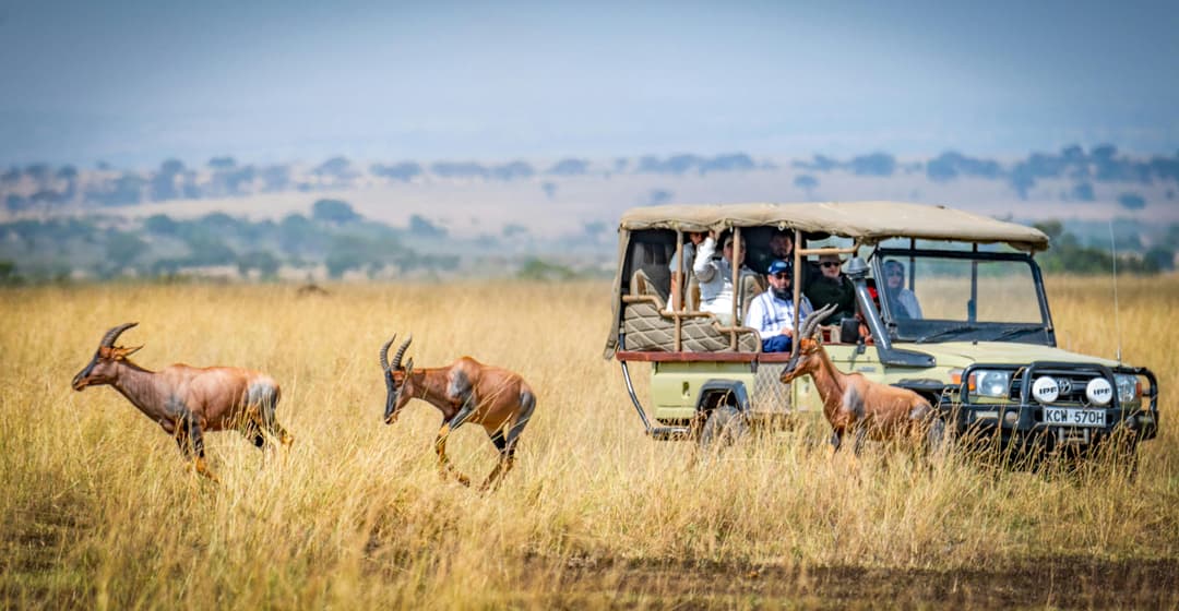 Kenya Safari Tour | 5-Day Naivasha & Maasai Mara Adventure