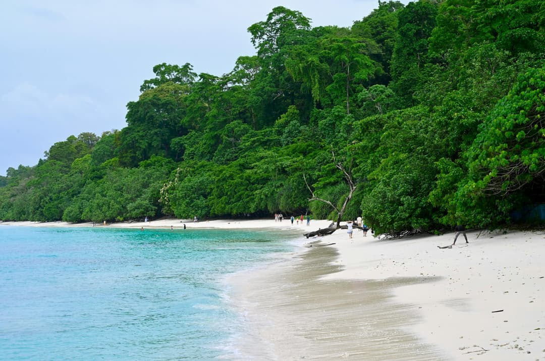 6 Days Andaman Package| Port Blair, Havelock and Neil Island