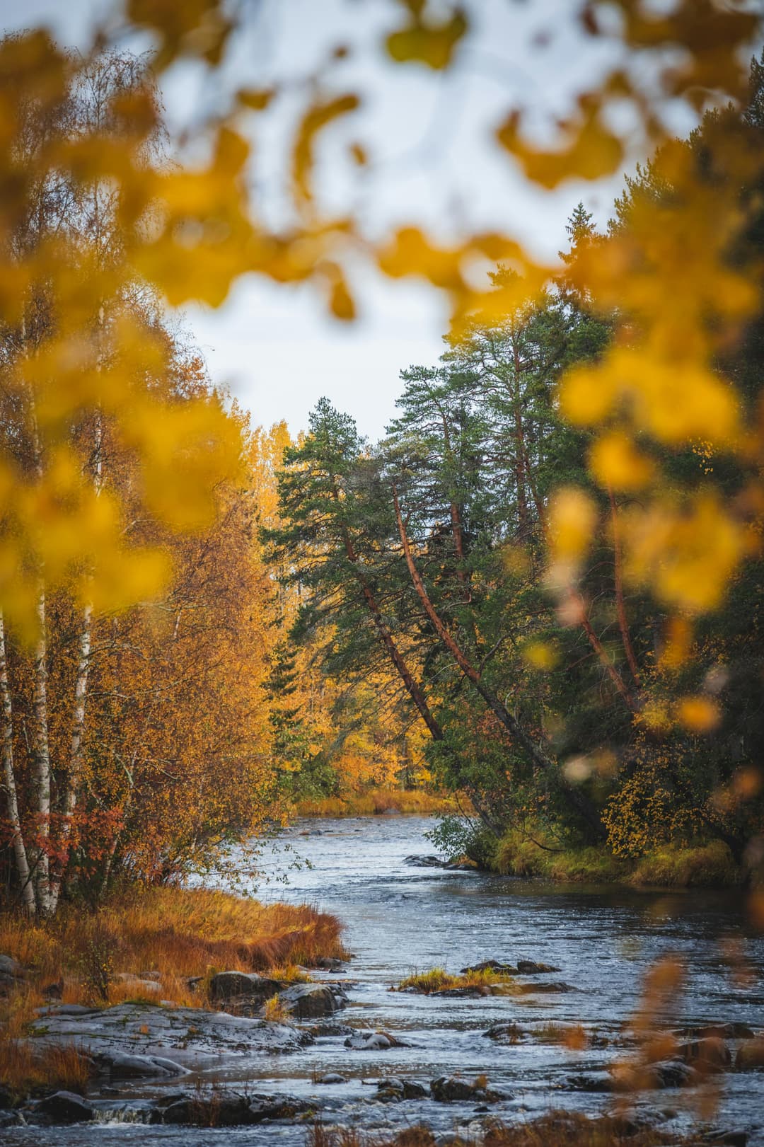 Finland Winter Tour Package | 7-Day Northern Lights and Lapland Adventure