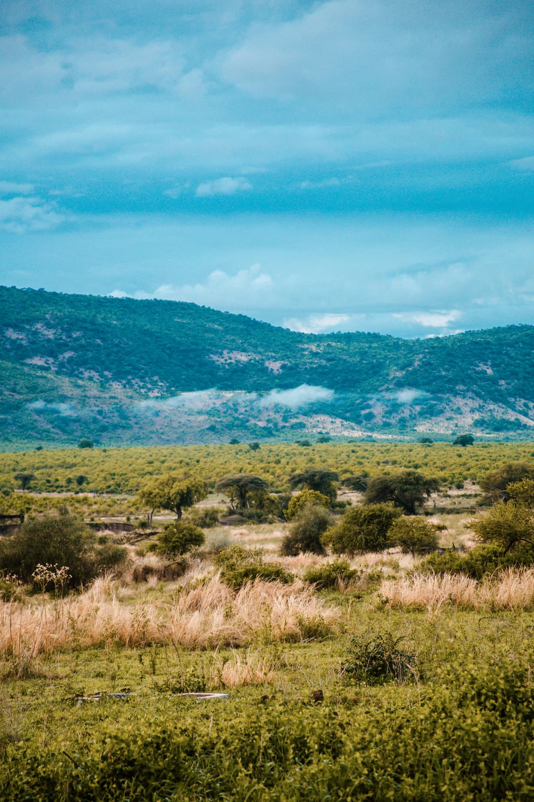 Kenya Safari 5 Days | Naivasha and Maasai Mara Wildlife Tour