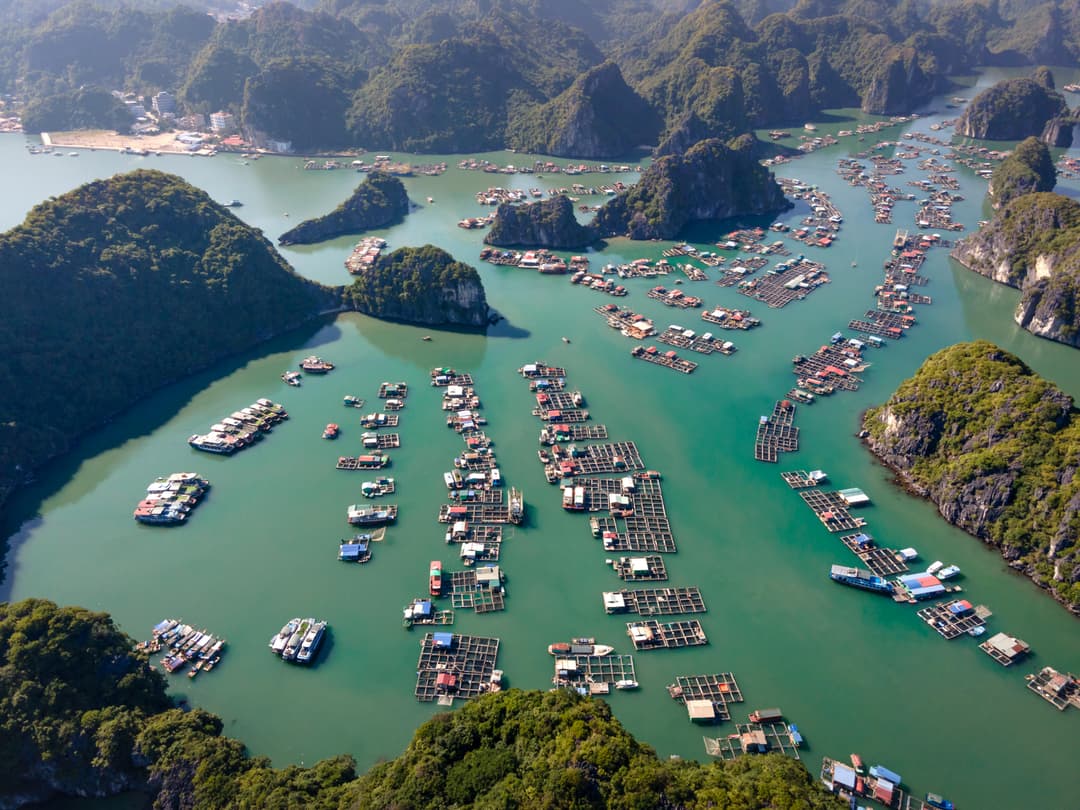 Vietnam Summer Tour | 8 Days North to South Journey