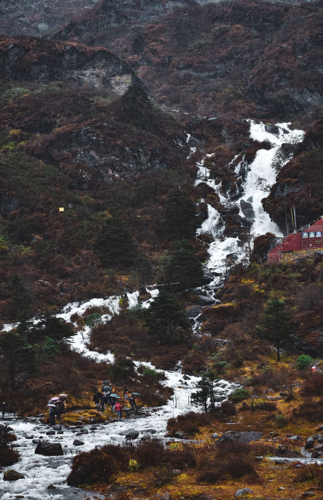 Sikkim Pelling Darjeeling Janmashtami Tour | 7 Days Veg Trip