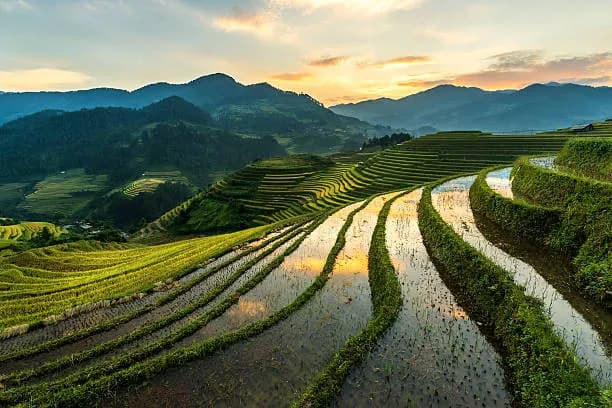 Vietnam 9-Day tour pacakge| Ha Long Bay, Ba Na Hills and Phu Quoc