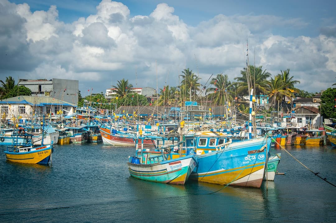 Sri Lanka 10 Days of Ancient Kings, Tea, and Wild Leopards