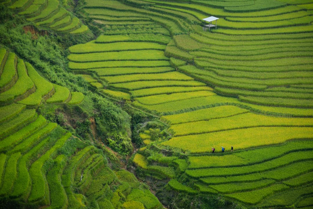 Hanoi to Halong Bay and Ninh Binh Tour | Best 2026 Vietnam Trip