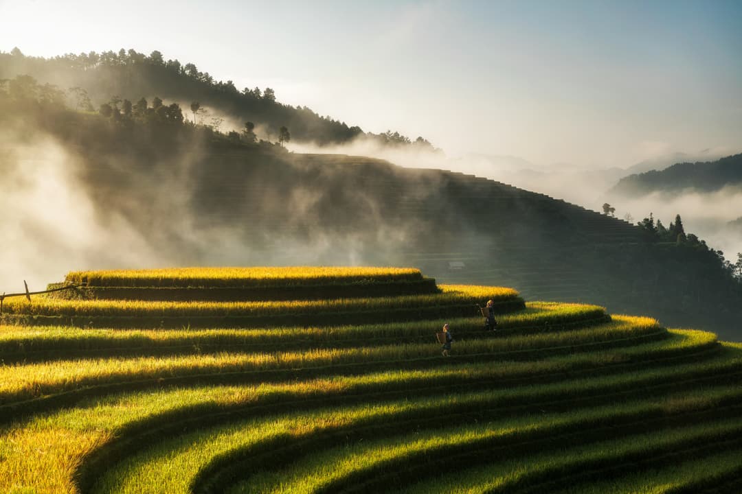 Vietnam Grand Tour | Hanoi to Ho Chi Minh 8-Day Trip 2026