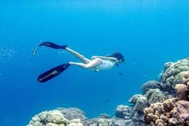 maldives Tour Highlight 3