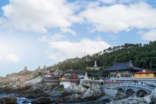 korea Tour Highlight 6