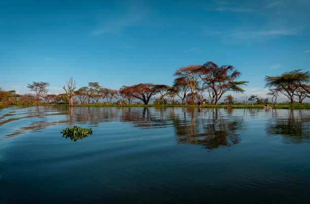 kenya Tour Highlight 1