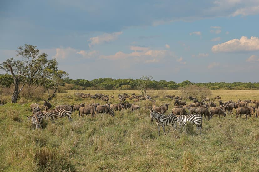 kenya Tour Highlight 3